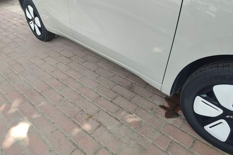 Used Wuling Hongguang MINIEV 2025 Four-Door Version Advanced Edition Right Side Sill