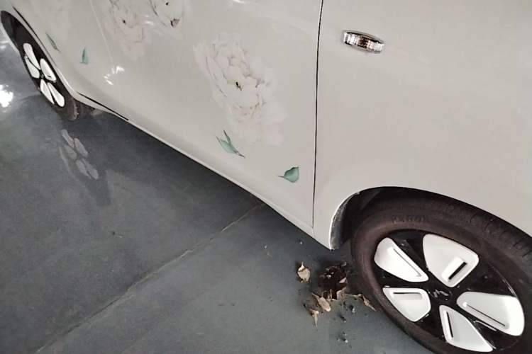Used Wuling Hongguang MINIEV 2025 Four-Door Version Advanced Edition Right Side Sill