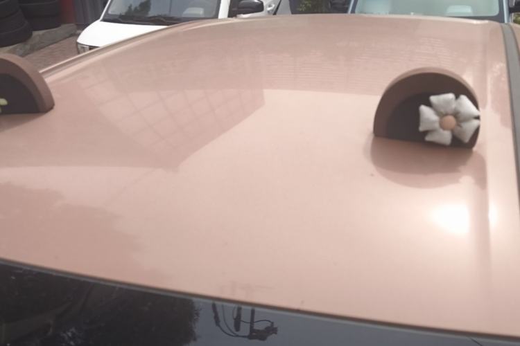 Used Wuling Hongguang MINIEV 2025 Four-Door Version Advanced Edition Roof