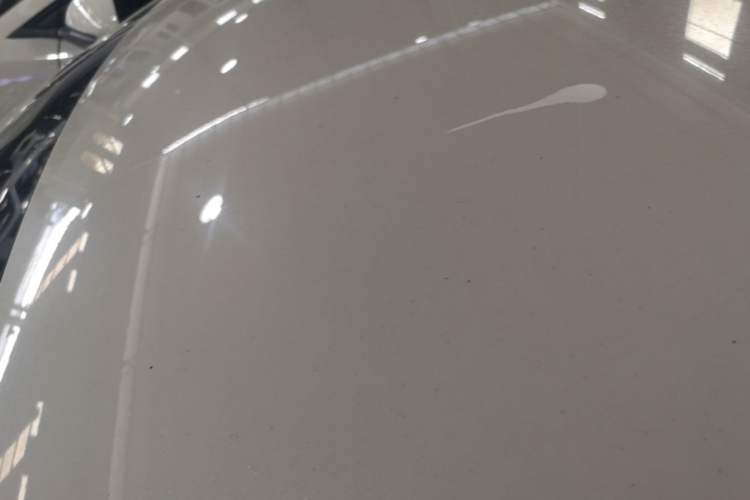 Used Wuling Hongguang MINIEV 2025 Four-Door Version Advanced Edition Roof