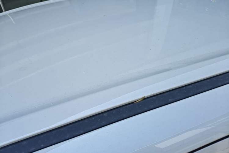 Used Wuling Hongguang MINIEV 2025 Four-Door Version Advanced Edition Roof