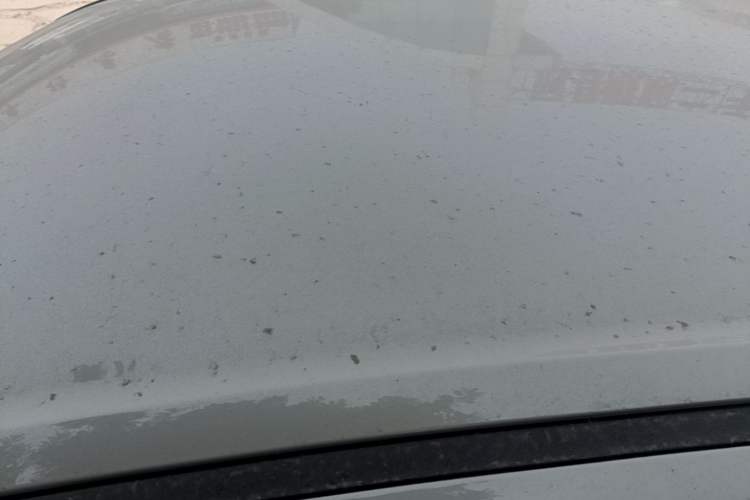 Used Wuling Hongguang MINIEV 2025 Four-Door Version Advanced Edition Roof
