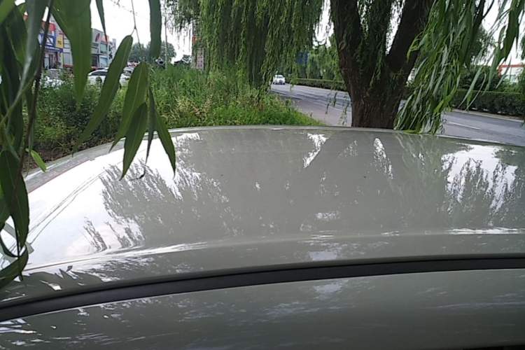 Used Wuling Hongguang MINIEV 2025 Four-Door Version Advanced Edition Roof