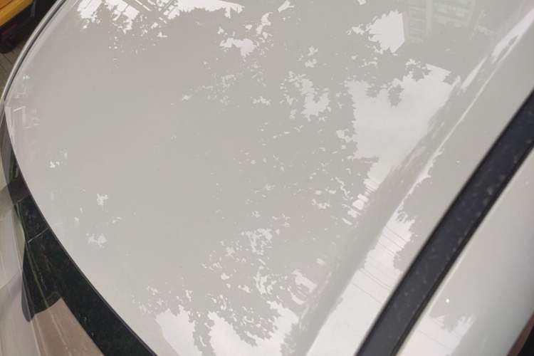 Used Wuling Hongguang MINIEV 2025 Four-Door Version Advanced Edition Roof