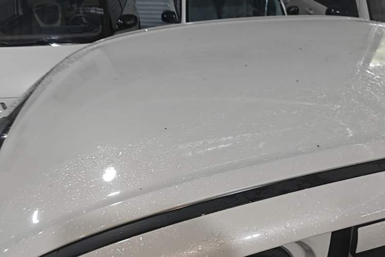 Used Wuling Hongguang MINIEV 2025 Four-Door Version Advanced Edition Roof