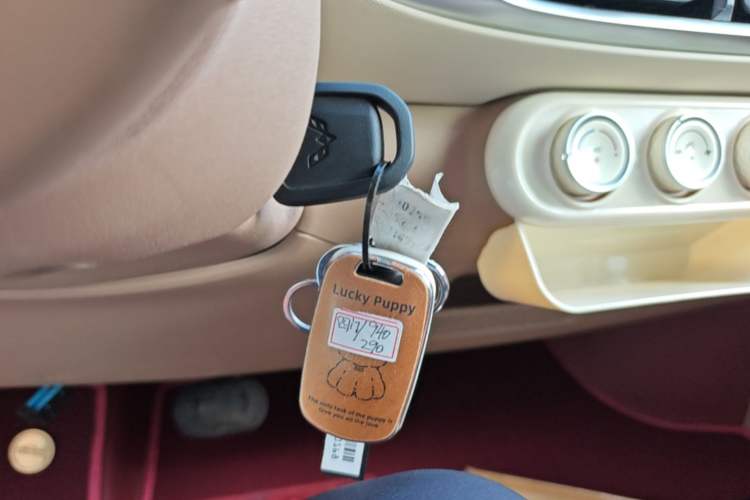 Used Wuling Hongguang MINIEV 2025 Four-Door Version Advanced Edition Vehicle Key