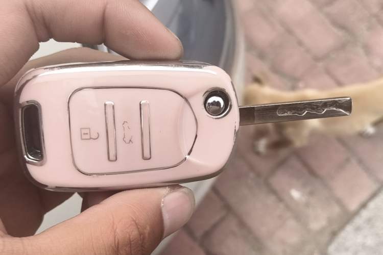 Used Wuling Hongguang MINIEV 2025 Four-Door Version Advanced Edition Vehicle Key