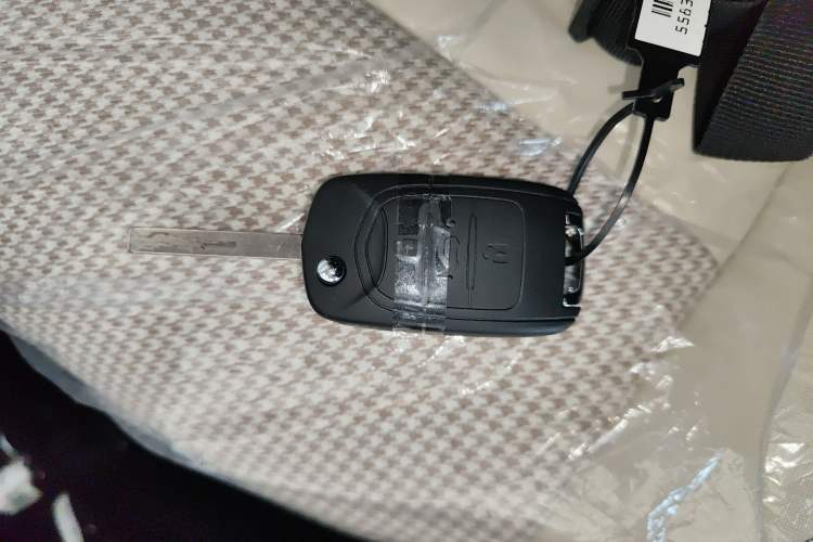 Used Wuling Hongguang MINIEV 2025 Four-Door Version Advanced Edition Vehicle Key