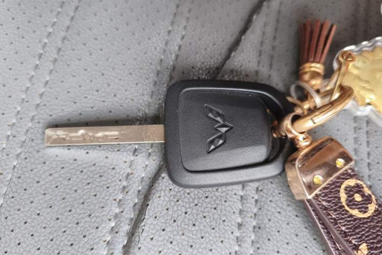 Used Wuling Hongguang MINIEV 2025 Four-Door Version Advanced Edition Vehicle Key