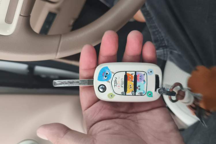Used Wuling Hongguang MINIEV 2025 Four-Door Version Advanced Edition Vehicle Key