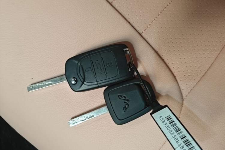 Used Wuling Hongguang MINIEV 2025 Four-Door Version Advanced Edition Vehicle Key