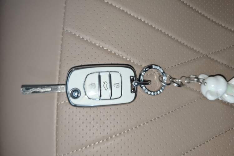 Used Wuling Hongguang MINIEV 2025 Four-Door Version Advanced Edition Vehicle Key