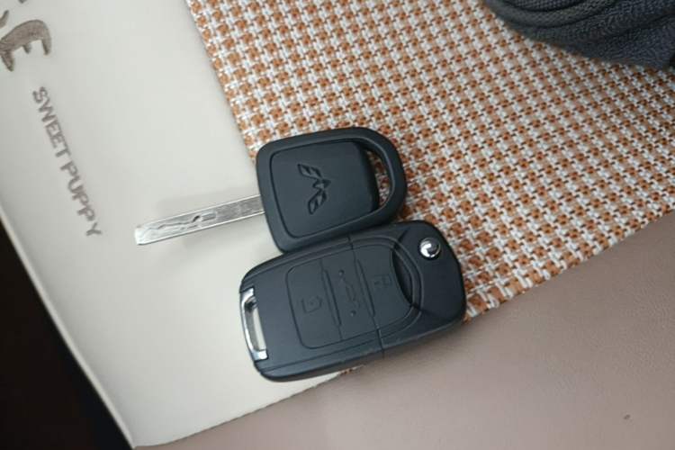 Used Wuling Hongguang MINIEV 2025 Four-Door Version Advanced Edition Vehicle Key
