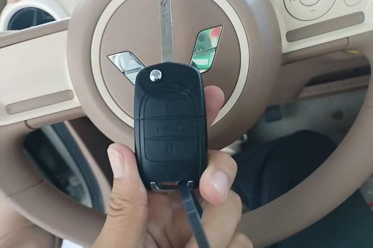 Used Wuling Hongguang MINIEV 2025 Four-Door Version Advanced Edition Vehicle Key