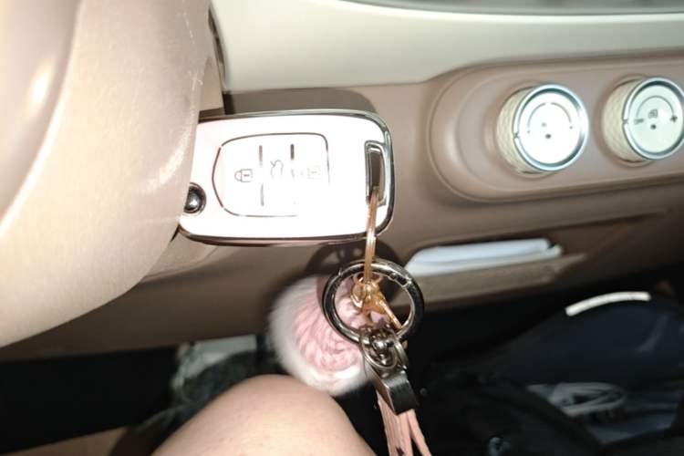 Used Wuling Hongguang MINIEV 2025 Four-Door Version Advanced Edition Vehicle Key