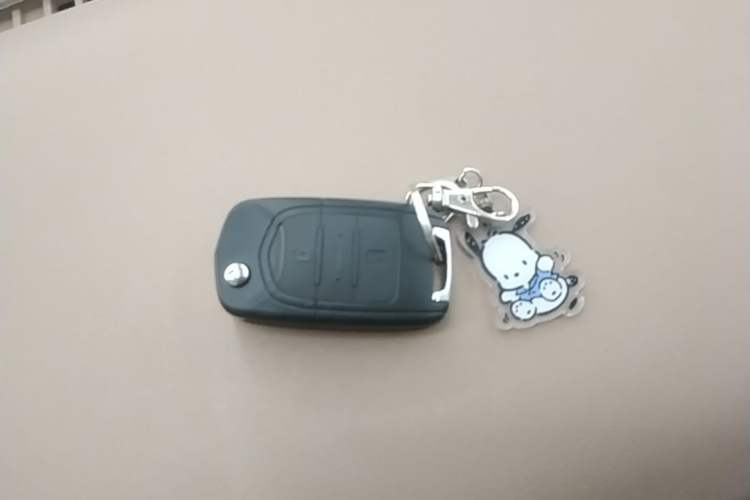 Used Wuling Hongguang MINIEV 2025 Four-Door Version Advanced Edition Vehicle Key