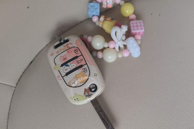 Used Wuling Hongguang MINIEV 2025 Four-Door Version Premium Edition Vehicle Key