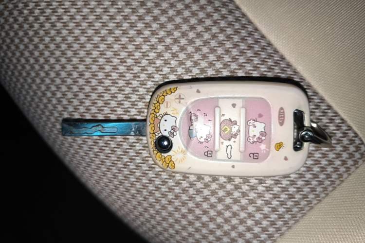 Used Wuling Hongguang MINIEV 2025 Four-Door Version Advanced Edition Vehicle Key
