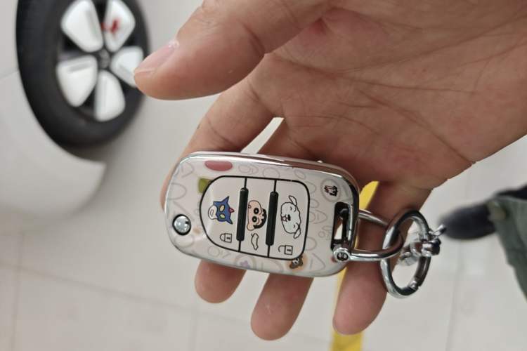 Used Wuling Hongguang MINIEV 2025 Four-Door Version Advanced Edition Vehicle Key