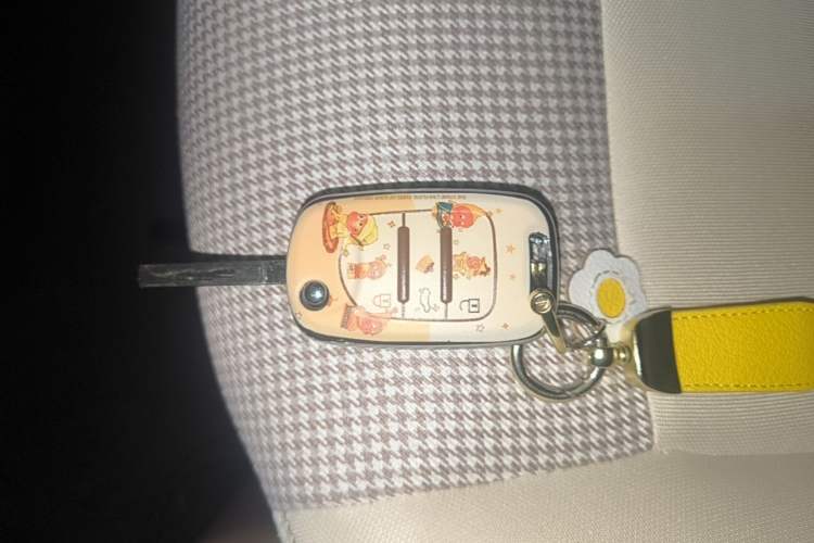 Used Wuling Hongguang MINIEV 2025 Four-Door Version Advanced Edition Vehicle Key