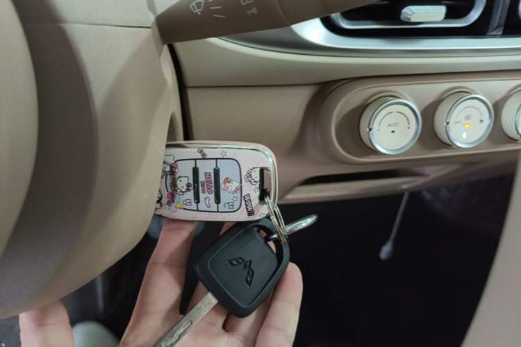 Used Wuling Hongguang MINIEV 2025 Four-Door Version Advanced Edition Vehicle Key