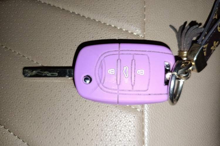 Used Wuling Hongguang MINIEV 2025 Four-Door Version Advanced Edition Vehicle Key