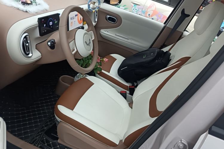 Used Wuling Hongguang MINIEV 2026 Model Fifth Generation, 301km Deluxe Edition Left Front Seat