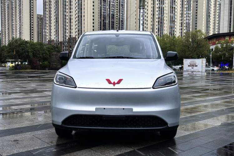 Used Wuling Hongguang New Energy 2024 All-Electric Model 300KM Standard Version Exterior 1