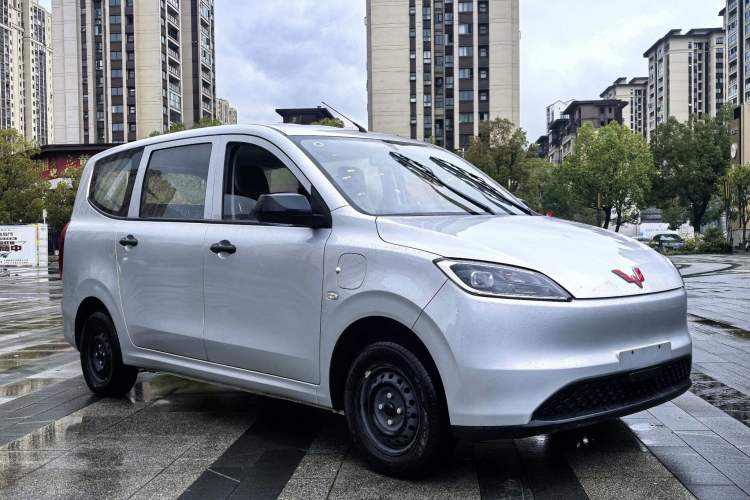 Used Wuling Hongguang New Energy 2024 All-Electric Model 300KM Standard Version Exterior 2