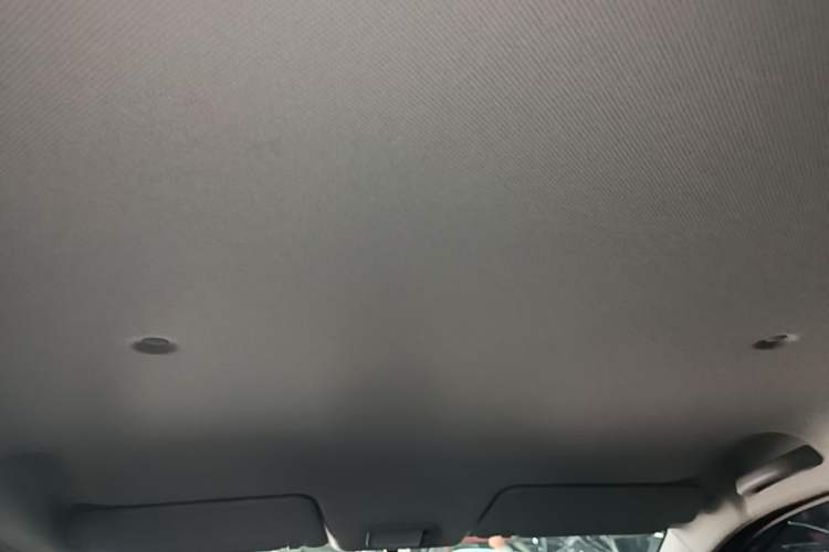Used Wuling Hongguang New Energy 2024 All-Electric Model 300KM Practical Version Headliner