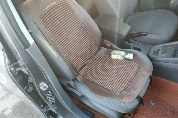 Used Wuling Hongguang New Energy 2024 All-Electric Model 300KM Standard Version Right Front Seat