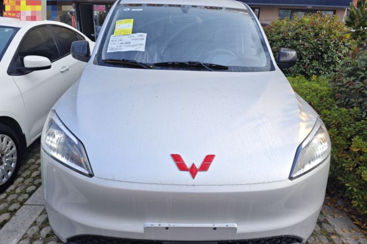 Used Wuling Hongguang New Energy 2024 All-Electric Model 300KM Practical Version Exterior 1