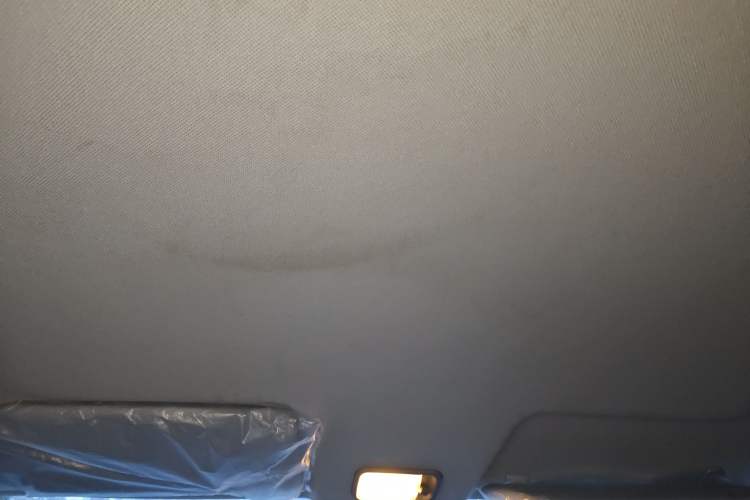 Used Wuling Hongguang New Energy 2024 All-Electric Model 300KM Practical Version Headliner