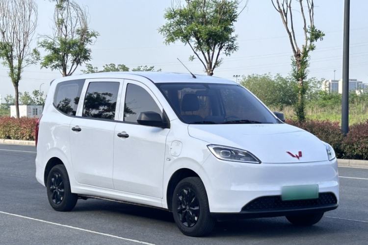 Used Wuling Hongguang New Energy 2024 All-Electric Model 300KM Standard Version Exterior 4