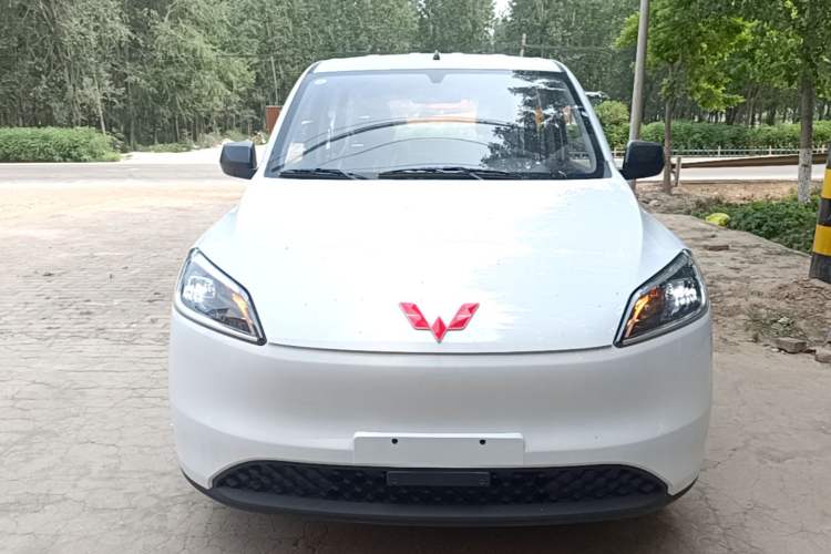 Used Wuling Hongguang New Energy 2024 All-Electric Model 300KM Standard Version Front