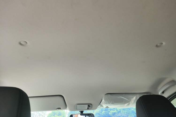 Used Wuling Hongguang New Energy 2024 All-Electric Model 300KM Practical Version Headliner