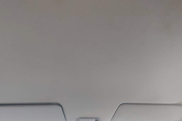 Used Wuling Hongguang New Energy 2024 All-Electric Model 300KM Practical Version Headliner