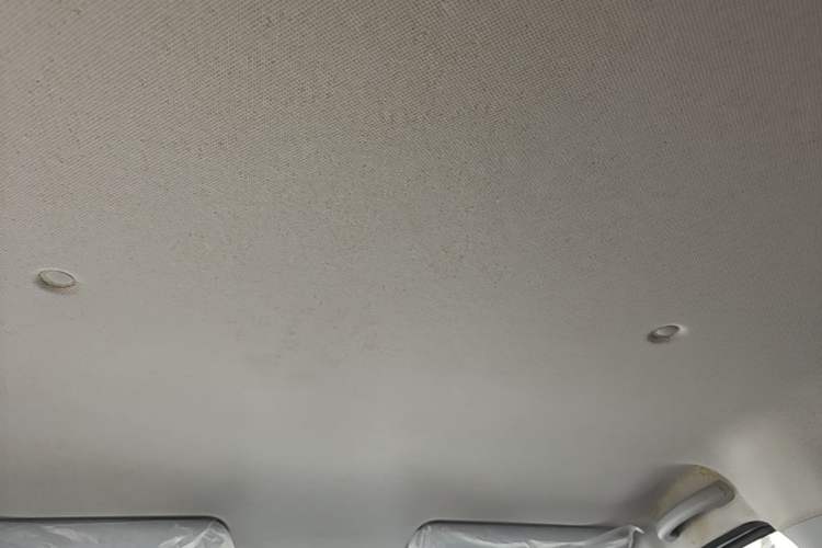 Used Wuling Hongguang New Energy 2024 All-Electric Model 300KM Practical Version Headliner