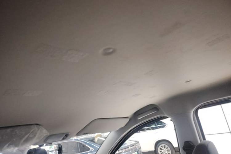 Used Wuling Hongguang New Energy 2024 All-Electric Model 300KM Standard Version Headliner