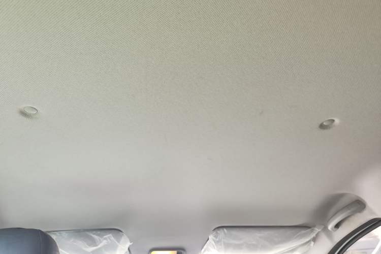 Used Wuling Hongguang New Energy 2024 All-Electric Model 300KM Practical Version Headliner