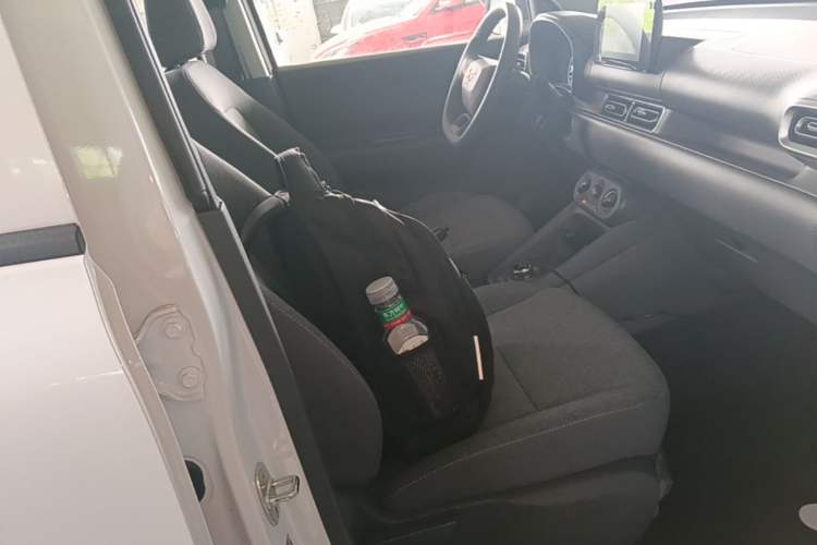 Used Wuling Hongguang New Energy 2024 All-Electric Model 300KM Standard Version Right Front Seat