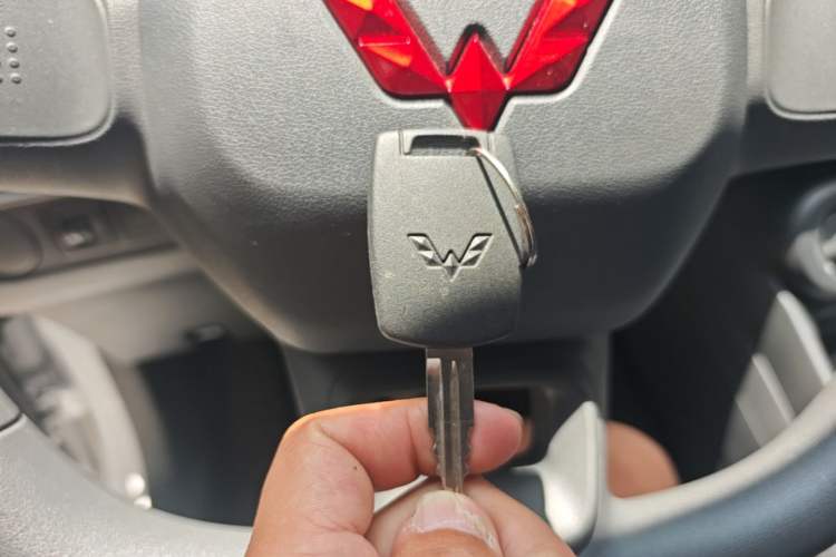 Used Wuling Hongguang New Energy 2024 All-Electric Model 300KM Practical Version Vehicle Key