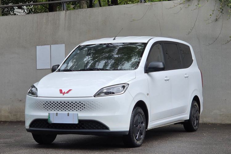 Wuling Hongguang New Energy 2025 Extended-Range Hybrid 50KM Comfort Version