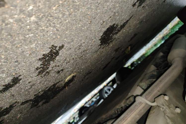 Used Wuling Hongguang New Energy 2025 Extended-Range Hybrid 50 km Standard Version Chassis Rear Left