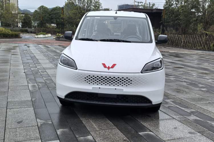 Used Wuling Hongguang New Energy 2025 Extended-Range Hybrid 50 km Utility Version Exterior 1