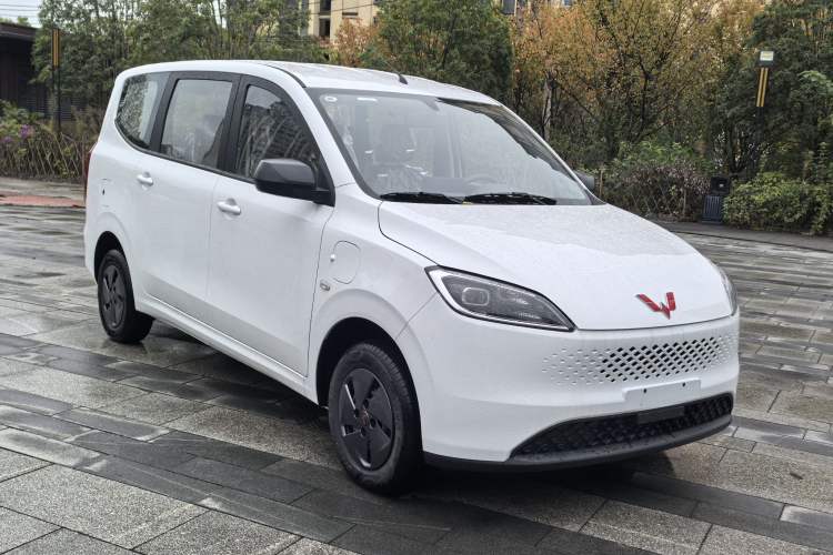 Used Wuling Hongguang New Energy 2025 Extended-Range Hybrid 50 km Utility Version Exterior 2