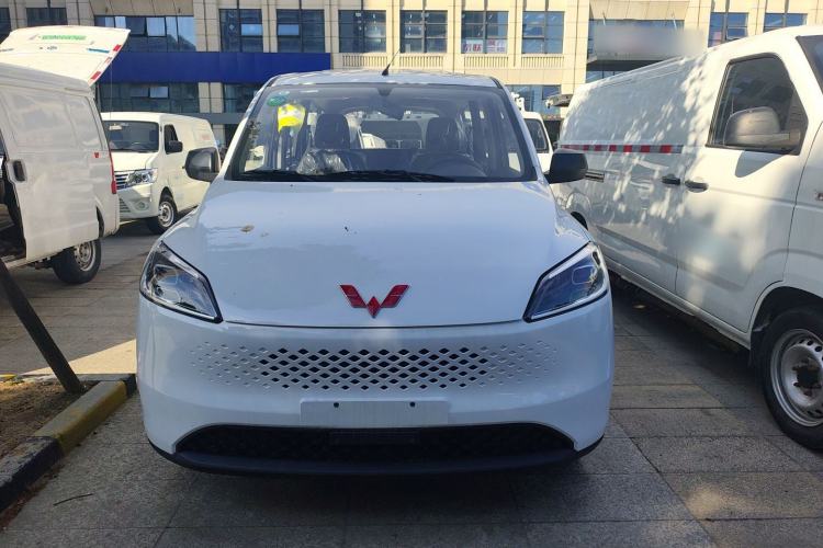 Used Wuling Hongguang New Energy 2025 Extended-Range Hybrid 50 km Utility Version Exterior 6