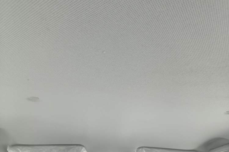 Used Wuling Hongguang New Energy 2025 Extended-Range Hybrid 50 km Utility Version Headliner