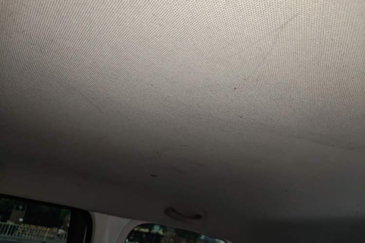 Used Wuling Hongguang New Energy 2025 Extended-Range Hybrid 50 km Standard Version Headliner