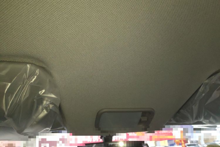 Used Wuling Hongguang New Energy 2025 Extended-Range Hybrid 50 km Utility Version Headliner